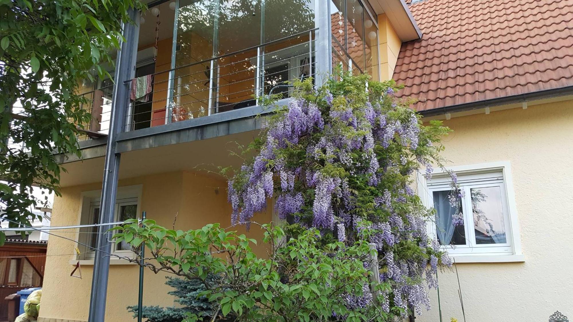 Ferienwohnung Miezerle Steisslingen Esterno foto